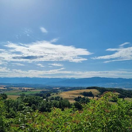 Chambre Double En Pleine Nature "La Clairiere De L'Ange" Peyrins Zewnętrze zdjęcie