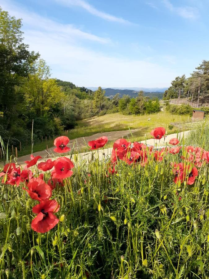 Chambre Double En Pleine Nature "La Clairiere De L'Ange" Peyrins Zewnętrze zdjęcie