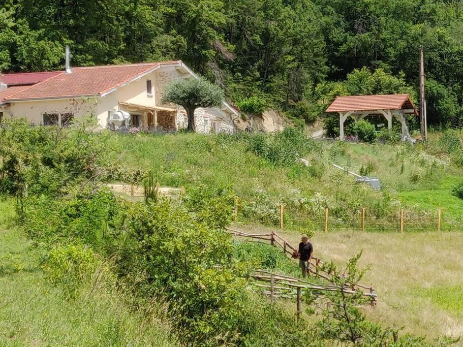 Chambre Double En Pleine Nature "La Clairiere De L'Ange" Peyrins Zewnętrze zdjęcie